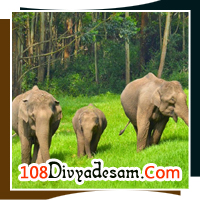 divya desam tours kerala